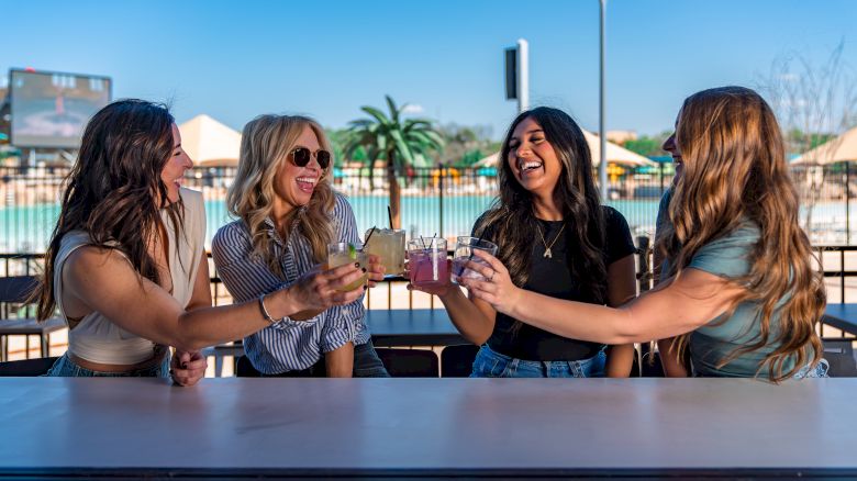 Four people are sitting outside, smiling and raising glasses in a toast. There are palm trees and a pool in the background.
